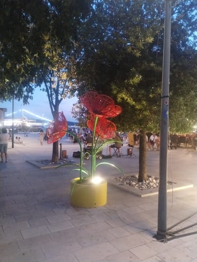 The image depicts a scene in Crikvenica, Croatia, likely during the evening. In the foreground, a large, yellow planter contains a bright light illuminating abstract, red, flower-shaped sculptures. These sculptures are made of metal and appear to be part of a decorative installation. Behind the sculptures, trees with dense green foliage are visible, their leaves illuminated by ambient light. A tall, grey lamppost stands to the right of the frame, with visible wires connected to its base.
In the middle ground, a paved area shows people walking and sitting at tables, suggesting an outdoor dining or gathering space. A person is seen walking away from the camera wearing shorts and a t-shirt. Further back, a band appears to be performing, with instruments and equipment set up on a small stage. A yellow amplifier or speaker is prominently visible.
The background reveals a waterfront area with a large vessel, possibly a ferry or boat, docked and illuminated with numerous lights. The sky is a deep blue, indicating twilight or early evening. The overall setting suggests a lively public space, likely a promenade or plaza near the sea. The ground is paved with light-colored rectangular tiles.
