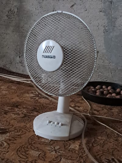 A white oscillating fan with a mesh grill is positioned on a brown, patterned rug. The fan has a circular white logo with slanted lines above the brand name "DELFA" in black block letters. The base of the fan has four speed control buttons labeled "0", "1", "2", and "3". To the right of the fan, a black dish contains a pile of nuts, possibly walnuts. The background consists of a textured, grey concrete wall. The image is taken from a slightly elevated angle. The scene is indoors, likely in a residential setting. The location of Chobruchi, Moldova, is not directly discernible from the image itself.
