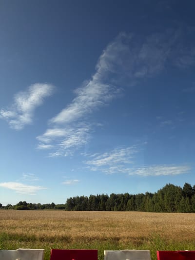 The image depicts a rural landscape in the vicinity of Гарбавіцкі сельскі Савет, Belarus. The scene is dominated by a vast field of golden wheat under a bright blue sky with scattered wispy white clouds. A dense line of green trees forms a natural boundary across the horizon, separating the field from the sky. In the foreground, a portion of a road barrier, composed of white and red sections, is visible. The overall impression is one of a sunny, tranquil agricultural setting.
