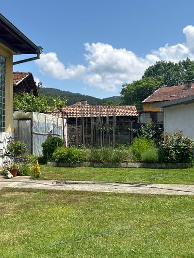 This image captures a serene outdoor scene, likely a residential backyard or garden in Dorkovo, Bulgaria, under a bright, sunny sky. The overall impression is one of a tranquil, rural setting.
In the foreground, a light-colored concrete pathway stretches across the lower portion of the frame, separating a well-maintained, vibrant green lawn. A black cable or hose is visible on the path and extending into the grass. To the left, a few potted plants with colorful blooms add a touch of domesticity.
The midground is dominated by various structures and lush vegetation. A makeshift greenhouse, constructed with translucent plastic sheeting and wooden supports, is centrally located. Behind and to the right of it stands an older building with a traditional terracotta tiled roof, visible wooden framework, and stone wall sections, possibly an outbuilding or shed. Parts of other houses with similar tiled roofs and light-colored stucco walls are visible on either side, nestled amongst an abundance of green bushes and small trees. A house in the upper left features a metal gutter system under a clear sky.
In the background, a verdant, forested mountain range rises, hinting at the hilly or mountainous terrain of the region. The sky above is a clear blue with several fluffy white clouds. The bright light suggests it is midday or early afternoon. There are no people present, and no discernible text in the image, contributing to the quiet, natural ambiance of the scene.