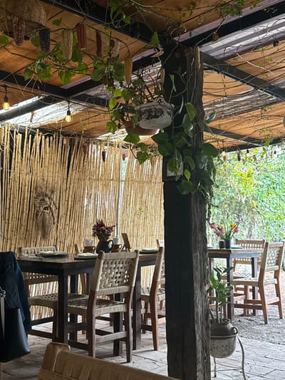 The image depicts a semi-enclosed outdoor dining area within a restaurant setting in Sanctorum, Mexico. The environment features a natural aesthetic with a thatched or woven ceiling supported by dark metal beams and wooden posts. Multiple strings of warm-toned light bulbs are suspended from the ceiling. Green foliage, including hanging potted plants and vines, is draped across the overhead structure and around a prominent dark wooden pillar on the right side of the frame. Dried corn cobs of various colors are decoratively hung from the ceiling.

A tall screen constructed from vertical bamboo poles forms the background wall on the left and center, featuring a woven art piece or decoration. The flooring consists of light-colored pavers.

Two dark wooden dining tables are visible. The table in the foreground-left is set with multiple ceramic plates, napkins, and mugs. A dark pitcher containing dried purple flowers and a small wooden stand are centered on this table. To the right, partially obscured by the pillar, another similar wooden table is also set with plates, cups, and a vase holding fresh, colorful flowers. Around both tables are wooden chairs with woven seats and backs.

No individuals are present. A dark jacket and a black bag are hanging over a chair on the far left. A potted plant in a distressed pot is positioned on the ground near the central wooden pillar. Beyond the dining area on the right, dense green foliage indicates an outdoor garden or natural landscape.