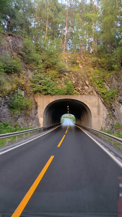 A low-angle, eye-level perspective shot shows a two-lane road with a wet asphalt surface, marked with a solid yellow line on the left and a dashed yellow line on the right. The road leads directly into a tunnel entrance, a concrete archway carved into a rocky, tree-covered mountainside. The tunnel is lit by a series of yellow lights, illuminating the dark interior. Outside the tunnel, on either side of the road, are metal guardrails. The mountainside is covered in lush green vegetation and trees, with some exposed rock faces. The sky above is a pale blue with some haze. The image was captured in Hylla, Norway.
