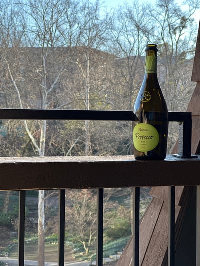 A bottle of Riondo Prosecco rests on a black metal structure, likely a railing. The bottle, with a green label, is positioned horizontally. Outside the railing, a landscape of bare trees under a pale blue sky suggests a late autumn or early spring scene. The overall composition creates a contrast between the manufactured structure and the natural background.
