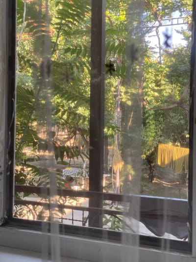 This image shows a view through a window, looking out at a sunlit backyard or garden. The scene is dominated by lush green foliage from trees and plants. Sunlight filters through the leaves, creating bright highlights and shadows. A wooden railing or fence runs horizontally across the middle of the frame. In the background, there's a glimpse of a wall and what appears to be some kind of yellow cloth draped over something. Reflections on the window pane create a layered effect, sometimes obscuring details of the outdoor scene.

The time of day appears to be late afternoon or early evening, given the warm, golden quality of the sunlight. There are no people visible in the image. The overall impression is one of a peaceful, natural setting. The view is framed by the window, which has some horizontal streaks or marks on the glass, possibly from dirt or water. The location is identified as Margilan City, Uzbekistan. There is no visible text in the image.
