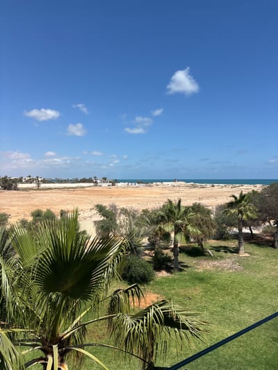 The image depicts a coastal landscape under a clear blue sky with scattered white clouds. In the foreground, lush green grass and palm trees are visible, suggesting a well-maintained area, possibly a resort or park. Beyond this, the landscape transitions to a vast expanse of dry, sandy terrain with some sparse vegetation and a few scattered buildings and structures. Further in the background, the turquoise waters of the sea meet the horizon, with more buildings and palm trees lining the coastline. The scene appears to be located in Taguermess, Tunisia, a region known for its coastal beauty and arid landscapes. There are no people visible in the image, and the focus is on the natural environment and developing infrastructure.