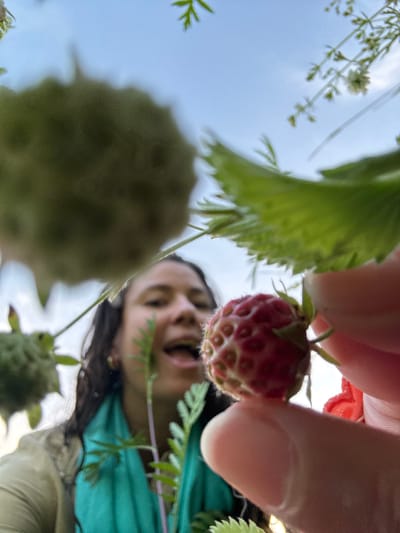 The image depicts a low-angle, close-up view of a person holding a wild strawberry in their fingers, with the sky and foliage visible in the background. The person, whose face is out of focus, appears to be smiling or laughing. They are wearing a light-colored jacket and a turquoise scarf. The strawberry is a vibrant red and is prominently featured in the foreground, supported by the person's thumb and index finger. The environment suggests an outdoor setting, possibly a garden or natural area, with green leaves and stems of plants surrounding the subjects. There is no information in the image to indicate the location is Kamysh, Russia.
