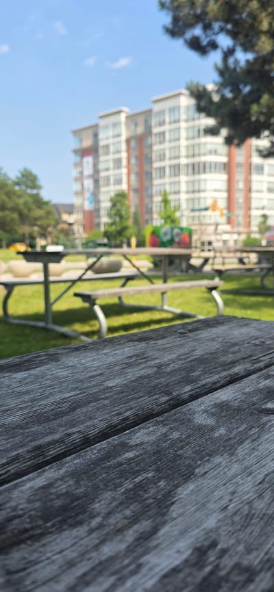 The image shows a close-up of a weathered wooden picnic table in the foreground, with a blurred background of a park scene. In the background, there are picnic benches, green grass, trees, and two tall buildings with numerous windows. The sky is blue, suggesting it is daytime and likely good weather. The perspective is from a low angle, looking upwards. The wooden texture of the table is prominent, with visible grain and some darker patches, suggesting it is outdoors and exposed to the elements. The picnic benches in the middle ground appear to be made of wood and metal. A green object with what looks like red fruit or a pattern is visible on one of the picnic tables. The buildings in the background are modern apartment or office buildings. There is no activity or people visible in the image, creating a sense of quietness or stillness. The location is identified as Pickering, Canada. No visible text is clearly legible.