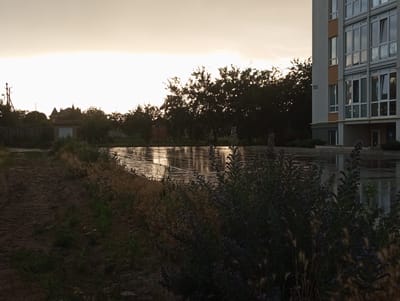 This is a wide outdoor shot taken in the city of Dymer, Ukraine. The scene captures a flooded area reflecting the sky, which is dominated by pale, bright clouds, suggesting either dawn or dusk. In the foreground, to the left, is a dirt path and overgrown vegetation, including some plants with small purple flowers. To the right of the flooded area, a modern, light-colored apartment building stands with numerous large windows. Behind the flooded area, a line of dark trees partially obscures structures that appear to be older buildings with distinctive rooflines, possibly a house or a church. A utility pole is visible to the left of these older buildings. The overall impression is a juxtaposition of urban development with natural elements and remnants of older architecture.
