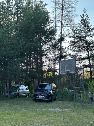 In a grassy clearing surrounded by tall pine trees, a black Mercedes-Benz minivan with license plate "1KP T 3241" is parked to the right. To the left of the minivan, a silver minivan is partially obscured by trees. A basketball hoop with a worn backboard and net stands in the center of the clearing. A green tent is visible behind the black minivan. In the background, the sky is a clear, pale blue with the setting sun casting long shadows. The scene appears to be an outdoor recreational area.