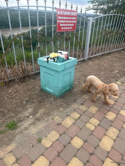 The image depicts an outdoor scene with a light brown poodle mix dog standing on a paved pathway composed of reddish-brown and yellow square pavers. The dog is wearing an orange harness and a leash extends from it. To the left of the pathway, there is a metal fence with decorative scrollwork. Beyond the fence, a lush green forest and a body of water are visible, suggesting a natural landscape.

In the foreground, near the fence and pathway, is a turquoise-colored trash receptacle. The receptacle is filled with various items, including plastic bags and what appears to be disposable masks. A red sign is attached to the fence, featuring white text in Russian that translates to: "DO NOT LEAVE TRASH! Please take it with you! Local residents are cleaning it up! It's nice to come to a clean place!!!!". The presence of the trash and the sign implies a concern for maintaining the cleanliness of the area.

The lighting suggests it is daytime, possibly overcast due to the diffused light. The overall setting appears to be a scenic overlook or park area, providing a view of the natural surroundings. The dog's posture suggests it is looking away from the camera, perhaps at something in the distance or waiting for its owner.