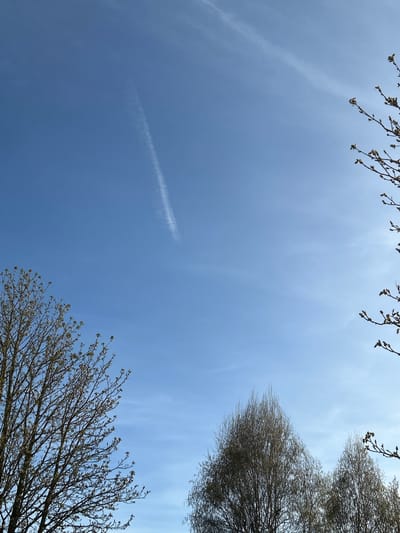 The image depicts a view of the sky framed by tree branches, likely taken in Truchtersheim, France. The sky is predominantly blue, with some wispy clouds and a faint contrail from an airplane. The tree branches are located at the top and bottom right and left of the frame, with buds visible, suggesting early spring. The branches appear to be from different types of trees. No people are visible in the image.