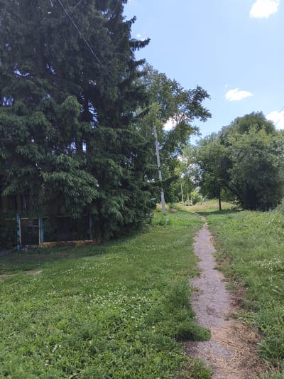 A dirt path meanders through a grassy area in Mokshan, Russia. Tall green trees, including a dense fir tree on the left and a large leafy tree on the right, flank the path. A simple wooden fence with metal accents borders the left side of the path, adjacent to a building that appears to be a house. The sky above is blue with scattered white clouds, suggesting fair weather. The scene conveys a sense of quiet, natural serenity. The time of day appears to be daytime, with sunlight filtering through the trees. There is no visible text in the image.