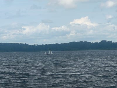 This is a horizontal, eye-level, medium shot of a body of water with sailboats in the distance. The water is dark blue and choppy, with small waves. In the distance, there is a treeline with a dark green forest. Above the treeline, there are white and gray clouds in a light blue sky. Two sailboats are visible on the water. The sailboat on the left has white sails and appears to be moving to the right. The sailboat on the right has white sails and appears to be stationary. A white boat is also visible in the distance on the left. The scene is tranquil and scenic, possibly capturing a summer day on the lake. The location is likely the city of Schwielowsee, Germany, known for its large lake and surrounding natural beauty.