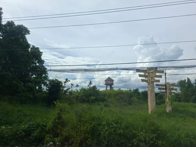 This image captures a scene in Thôn 4, Vietnam, characterized by a mix of natural elements and signs of human infrastructure. In the foreground, lush green grass and various plants dominate the landscape, indicating a relatively undeveloped or overgrown area. Several utility poles, adorned with numerous horizontal sign-like structures, stand prominently in the mid-ground. Behind these poles, a water tower with a distinct brown roof and white-framed windows is visible, suggesting residential or industrial water supply. The background is filled with dense foliage, including trees and palm-like plants, under a cloudy sky. Multiple power lines are strung across the upper portion of the frame, indicating the presence of electricity infrastructure. The overall impression is one of a semi-rural setting with a blend of natural vegetation and functional man-made structures.