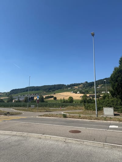 This is a vertical, eye-level, medium shot of a rural road in Weinfelden, Switzerland. The road runs parallel to a gently sloping hillside covered in green vegetation and dotted with houses. In the foreground, the road has a concrete sidewalk and a paved asphalt surface with yellow and white lane markings. A circular metal manhole cover is visible on the asphalt.

Further up the hillside, fields of golden crops, likely wheat or barley, are interspersed with patches of green trees. Vineyards are also visible, with rows of grapevines stretching up the slope. Several houses with white walls and red-tiled roofs are scattered among the fields and trees. A tall, slender streetlight stands on the left side of the road, its metal pole extending towards the bright blue sky. Another similar streetlight is visible in the distance.

A series of dark green bushes line the edge of the road and the hillside. There are also some smaller trees and other vegetation along the roadside. A few road signs are visible near the middle ground, including a blue circular sign with a white symbol, possibly indicating a speed limit or a pedestrian crossing. A red fire hydrant is also present on the far right of the image.

The scene appears to be set on a clear, sunny day, as indicated by the bright blue sky and the strong shadows cast by the objects. The overall impression is one of a peaceful, rural landscape bathed in the light of midday. There is no visible activity or people in the frame. The time of day is likely midday based on the sunlight. The location is Weinfelden, Switzerland, as indicated by the context.