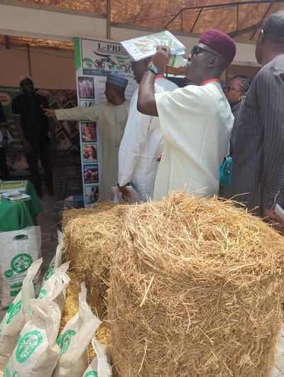 The image depicts a gathering of people near what appears to be an agricultural exhibition or market stall. It is possibly located in Unguwan Sanusi, Nigeria, judging from clues in the image. A pile of hay sits prominently to the right, next to several white bags with green designs, potentially containing grains or seeds. Several people are present, and some are reading printed material. There is a banner for "L-PRES", which appears to be an agriculture related project. The overall impression is of an event connected to farming or livestock, with people engaged in learning and discussion.