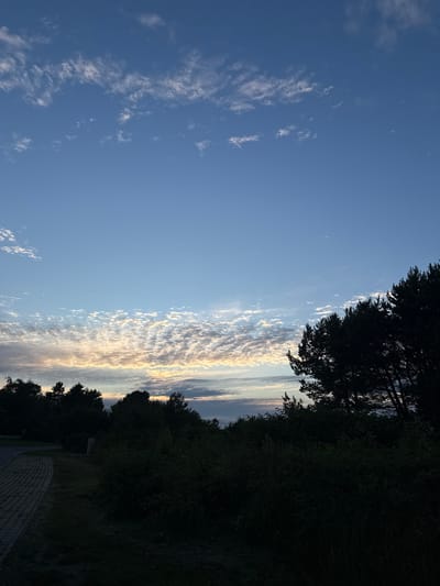 This image captures a serene sky scene at dusk, likely in Rohuneeme, Estonia. The upper portion of the frame is dominated by a clear, deep blue sky transitioning to lighter shades near the horizon. Scattered across the sky are wispy, white clouds, some catching the last rays of sunlight, creating a soft, textured effect. Below the sky, a dark silhouette of dense vegetation and trees forms the lower third of the image. These trees, with their irregular shapes, suggest a natural landscape bordering a developed area. In the bottom left corner, a paved pathway made of interlocking bricks curves into the scene, indicating a pedestrian walkway or road. The overall lighting suggests a calm evening, with the sun having recently set or about to rise. There are no people or animals visible in the frame.