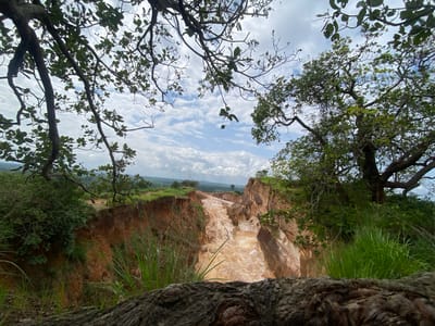 The image depicts a view from the edge of a large, eroded gully in Amangwu, Nigeria. The gully, characterized by steep, reddish-brown earth walls, appears to be a result of soil erosion, possibly exacerbated by rainfall. The bottom of the gully is filled with loose soil and debris, with water marks suggesting recent flow. Lush green vegetation, including tall grasses and trees with dense foliage, borders the gully's edge and frames the scene. The sky above is partly cloudy with scattered white clouds against a pale blue background. The foreground is dominated by a thick, rough tree trunk, suggesting the photograph was taken from close proximity to a large tree. The surrounding landscape beyond the gully appears to be relatively flat, with some distant hills visible under the overcast sky.