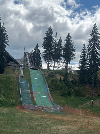 An outdoor ski jumping hill is visible, with a wooden structure at the top and a long, green landing slope that appears to be covered in artificial turf. The slope has red and blue markings, as well as white lines indicating distances. The hill is surrounded by trees, primarily tall evergreen pines, and the sky above is partly cloudy. There is some fencing in the foreground of the image. The ski jumping hill is located in the commune of Les Rousses, France.