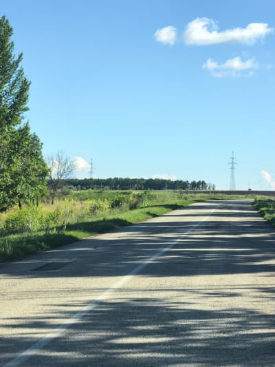 The image depicts a road with a single white line down the center, bordered by green grass and vegetation. A large tree with dense green foliage stands on the left side of the road. In the distance, a line of trees forms a forest, and a tall electrical pylon is visible against the clear blue sky. There are a few scattered white clouds in the sky. The road is casting long shadows, suggesting the sun is low in the sky, likely late afternoon or early morning. The environment appears rural and undeveloped, with no visible buildings or people. The general appearance of the landscape, including the type of vegetation and the presence of electrical infrastructure, is consistent with a location in the city of Severnyi, Russia.