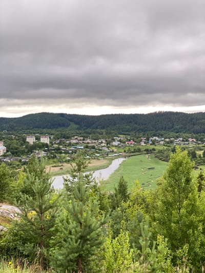 The image depicts a scenic overlook of Lakhdenpokhya, Russia, under a heavily overcast sky. In the foreground, lush green pine trees and other foliage dominate the view, with a rocky outcrop to the left. Beyond the trees, a winding river or canal cuts through a wide expanse of tall, green reeds and grass.
In the middle ground, a village or town is nestled amongst the trees. Numerous houses with pitched roofs, in various colors including white, beige, and red, are visible. Two taller, light-colored apartment buildings stand out amongst the residential structures. Further back, a dense, dark green forest covers rolling hills that extend to the horizon. The overall impression is one of a rural or semi-rural community surrounded by abundant nature.