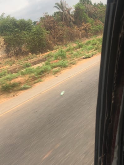 A slightly blurred roadside scene. A grey asphalt road with a yellow divider line dominates the right side. A small plastic bottle rests in the middle of the road. Green grass and trees line the left side, growing denser in the background with a palm tree visible. The photo appears to be taken from inside a vehicle, evidenced by the vehicle's interior visible at the top. The scene suggests a drive through a rural or suburban area.