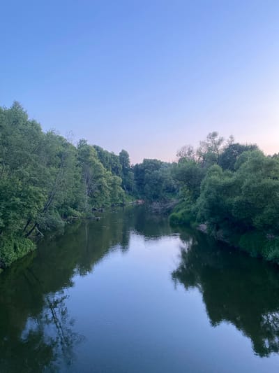 The image shows a serene river flowing through a lush green forest under a clear blue sky, possibly in Yuryatino, Russia. The water is calm and reflects the surrounding trees and the sky, creating a mirror-like effect. The banks of the river are densely covered with trees and vegetation, with some dead branches visible in the water. The sky is a soft gradient of blue, transitioning to a lighter hue near the horizon, suggesting it might be early morning or late evening. There are no visible people or animals in the scene, contributing to the peaceful and natural ambiance. The overall impression is one of tranquility and untouched nature.