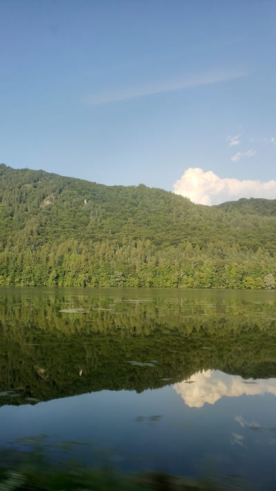The image depicts a serene natural landscape with a clear blue sky and a dense, green forest covering a hillside. The forest extends down to the edge of a calm body of water, which perfectly reflects the trees and the sky above, creating a mirror image. A few white clouds are visible in the sky, one large fluffy cloud being particularly prominent. The water's surface is mostly smooth, with a few scattered patches of lighter green vegetation floating on it. The overall impression is one of tranquility and natural beauty. This location is identified as being in Ratkovo, Slovakia.