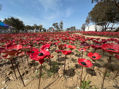 A field of red ceramic poppies, installed as a memorial in Re'im, Israel (latitude: 31.398, longitude: 34.47), on a sunny day. The poppies are arranged in rows, planted on thin metal rods protruding from the sandy ground. Several poppies are in the foreground, with the rest extending toward the horizon, where trees and a white tent are visible in the distance. The poppies are all facing forward, with their black centers facing the viewer. The scene is serene and peaceful, with the poppies symbolizing remembrance and sacrifice.