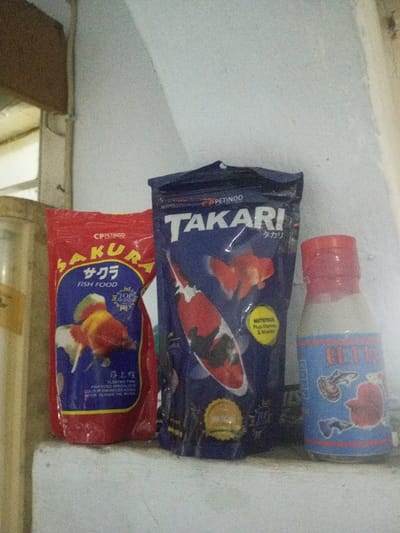 The image displays three packages of fish food arranged from left to right on a light-colored, textured horizontal surface, likely a shelf or ledge, against a white, textured vertical wall. The specific location within Kanpur, India, is not discernible from the provided visual information.
On the far left, partially visible, is a cylindrical metallic container, possibly a canister, next to a light-colored vertical structure.
The primary subjects are three items of pet food:
1. **Leftmost:** A red flexible pouch labeled "CPPETINDO SAKURA FISH FOOD". It prominently features an image of a red and white goldfish. Smaller text indicates "FLOATING TYPE," "FISH FOOD SPECIALISTS," "COLOUR ENHANCER," and "DOES NOT CLOUD THE WATER."
2. **Middle:** A blue flexible pouch labeled "PETINDO TAKARI." This pouch displays images of a red and black koi fish and a smaller red goldfish. A yellow circular graphic states "NUTRITION Plus Vitamins & Minerals."
3. **Rightmost:** A small, clear plastic bottle with a bright red screw-on cap. It contains a white granular substance. The bottle has a blue label with "BETTA" printed on it and features illustrations of various small fish, including guppies and a red betta fish.
No people are present. There are no active interactions depicted; the scene is static. The background wall exhibits a slight curve in the upper right quadrant.