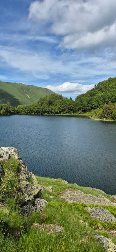 The image depicts a serene natural landscape in Sedlačka gora, Montenegro, dominated by a tranquil lake. The lake's surface is a deep, dark blue, rippling gently. Along the shoreline, lush green trees form a dense forest that climbs up the slopes of rolling hills. The hills in the background are covered in vibrant green grass, with a few patches of lighter terrain suggesting subtle variations in elevation or soil type. The sky above is a bright blue, punctuated by scattered white clouds, some fluffy and others wispy. In the foreground, large rocks covered in moss and lichen are interspersed with thick green grass, creating a rugged, natural edge to the lake. The overall scene conveys a sense of peace and untouched wilderness.