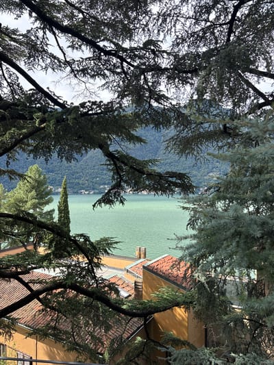 The image depicts an elevated, downward-looking view of Lake Como, specifically from the city of Nesso, Italy. The foreground is heavily framed by dark green, evergreen tree branches and needles, obscuring portions of the scene. Below these branches, several buildings with pitched terracotta-tiled roofs and ochre-colored walls are visible, featuring multiple stone chimneys. In the midground, the wide expanse of Lake Como, characterized by its distinct greenish-blue water, stretches horizontally. Along the far shoreline of the lake, distant structures of a settlement are discernible. Rising behind the lake and extending into the background are steep, densely forested mountains. The sky, visible through gaps in the foliage, is overcast with a light gray tone. No people or overt actions are visible.