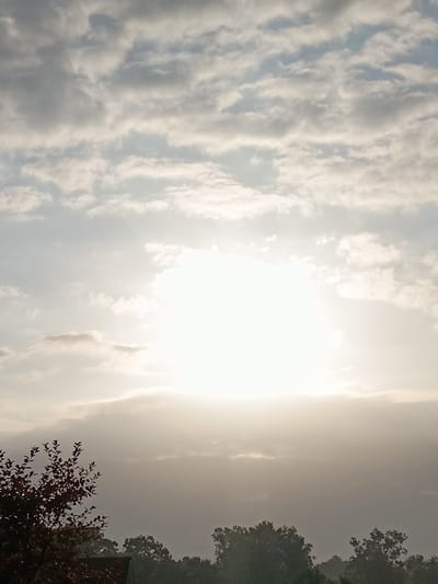 A sunrise is captured over a canopy of trees in Lawrenceburg, United States. The sun is a bright, white orb, partially obscured by a band of clouds, creating a luminous halo effect. Above the sun, scattered white and gray clouds fill the sky, with hints of blue peeking through. Below the sun, a hazy layer of lighter gray clouds stretches across the horizon. The foreground is dominated by the dark silhouettes of trees, with a hint of a red-leafed tree on the left, possibly a maple, and the dark roof of a building. The overall impression is one of a calm, early morning scene.