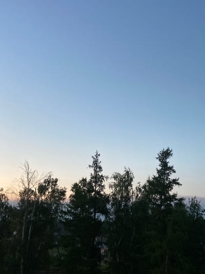 The image depicts a twilight sky above a silhouetted line of trees. The sky transitions from a pale blue at the top to a lighter, warmer hue near the horizon. The trees are dark and mostly indistinguishable, with the exception of a few that show some branch structure. One prominent tree on the right has a distinctive, somewhat spiky silhouette. There are hints of structures or buildings peeking through the trees in the middle ground, suggesting a rural or semi-rural setting. The overall impression is of a calm, natural landscape at dusk. There is no indication of the city of Кюёрелях, Russia, within the visual information provided in the image.