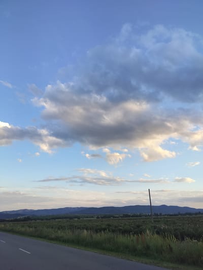 An outdoor, vertical, medium shot captures a rural landscape with a road in the foreground and mountains in the distance. The sky, dominating the upper half of the frame, is a mix of blue with scattered clouds ranging from bright white to dark gray, suggesting an overcast or transitioning weather condition. In the middle ground, a vast field stretches horizontally across the image, appearing to be cultivated with a dense green crop, possibly with scattered pink flowering plants. A single, tall, thin wooden pole stands in the field, its dark silhouette contrasting with the surrounding vegetation. The far distance is marked by a range of low, dark blue mountains under a hazy sky. A paved road with two white dashed lines runs along the left side of the frame, starting from the bottom and extending towards the horizon. The environment appears peaceful and natural, typical of a countryside setting. The image does not contain any people or visible signs of recent human activity other than the road and the pole. The location is identified as being in the city of Manolovo, Bulgaria.