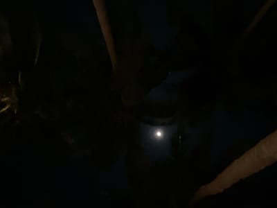 In the city of Legonipah, Indonesia, a nighttime scene unfolds, illuminated by a bright moon. The moon is the central focus, positioned in the upper middle portion of the image, casting a soft glow. The surrounding environment is dark and appears to be natural, possibly a park or a sparsely populated area. Several large, indistinct objects, likely trees or branches, are silhouetted against the night sky, framing the moon. The composition suggests an outdoor setting, possibly with some foliage. The overall impression is one of a calm and serene night, with the moon serving as the primary light source.