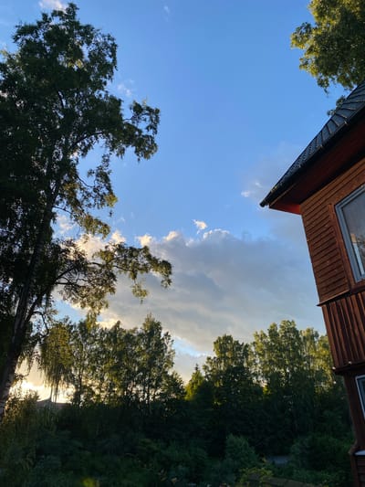 The image shows a view looking upwards from a ground-level perspective, likely taken outdoors in a rural or suburban setting. The foreground is dominated by the dark green foliage of trees, some of which have bare branches visible. These trees frame the sky, which is a bright blue with scattered white clouds. In the upper left quadrant, a portion of a building's roof is visible. The roof is made of dark wooden planks and has a gutter. The building appears to be a house or cabin. The sun is setting or has recently set, as evidenced by the warm, golden light filtering through the trees and illuminating the clouds. This creates a serene and peaceful atmosphere. The overall scene suggests a quiet evening in the countryside, possibly during late summer or early autumn, given the foliage. There is no visible text in the image.