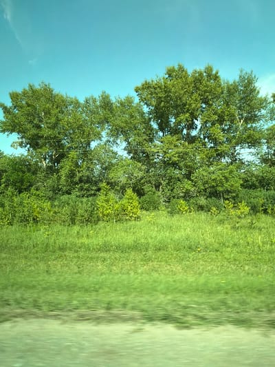 The image displays a natural landscape scene. In the foreground, there is a blurred area of green ground, suggesting movement such as a vehicle passing by. Above this, a field of green grass extends into the middle ground, with some small yellow flowers visible. Behind the grass, a dense line of trees and foliage forms a natural barrier. The trees are varied in height and density, with lush green leaves indicating a temperate climate, possibly during summer or late spring. In the background, a clear, light blue sky dominates the upper portion of the image. The overall impression is of a rural or natural setting, likely on the outskirts of a populated area. The image does not contain any identifiable structures or people that would suggest a specific location within Bezmenovo, Russia, beyond it being a general representation of the natural environment that might be found in such a region.