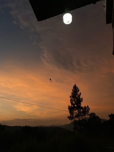 The image captures a dusk or dawn scene in a rural setting, possibly located near Sosial, Indonesia. The sky is painted with hues of orange and light gray clouds. Silhouetted against the sky are a tree and mountainous terrain in the background. In the foreground, a portion of a building's roof and a lit bulb are visible on the left. An insect, possibly a spider, is suspended in mid-air. A power line stretches across the image diagonally. The scene is dimly lit, indicating it is either late evening or early morning.