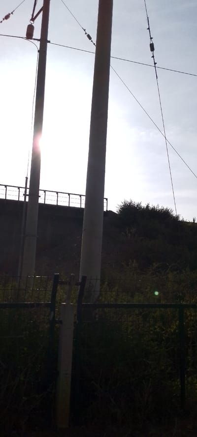 The image presents an outdoor scene characterized by strong backlighting, likely from the sun, which is positioned high in the upper left portion of the frame. This intense light creates a high-contrast visual, casting many elements into silhouette.

In the midground, two prominent, tall, light-grey concrete poles stand vertically, extending from below the frame to beyond the top. The sun's glare creates a bright flare emanating from behind the left pole. Above the poles, several thin wires or cables crisscross the bright sky, some appearing to be suspended from the poles. These wires feature small, dark cylindrical insulators or dampeners at various points along their length. For example, a light brown cylindrical component hangs from a wire near the top of the left pole.

Behind the concrete poles, an elevated dark-grey concrete structure, possibly a bridge or overpass, spans horizontally across the frame. It is topped with a dark metal railing. Below this structure and behind the poles, there is a dark, sloped embankment covered in dense, unkempt green vegetation, indicative of bushes and tall grass.

In the foreground, a dark wire mesh fence runs horizontally across the lower part of the image, partially obscuring the vegetation behind it. In the center of the fence line, there's a structure resembling a gate or a break in the fence, marked by two dark vertical posts flanking a lighter, rectangular vertical post. The base of this lighter post shows some faint discoloration or markings. The ground level behind the fence is overgrown with dark, shadowy vegetation.

The time of day appears to be bright daylight, possibly morning or late afternoon, given the intense backlighting and the position of the sun. The sky is clear, suggesting fair weather. A faint, circular green lens flare is visible in the lower right section of the image, within the vegetation. No discernible text is visible in the image. The setting appears to be an infrastructure area, possibly alongside a railway or road, given the utility poles and overpass.