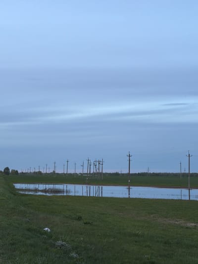 The image depicts a rural scene in Azyakul', Russia. A line of wooden utility poles stretches into the distance, reflecting in a body of water that appears to be flooding part of the landscape. The ground is covered in green grass, and the sky is overcast with a light blue hue. A white plastic bag is visible in the grass on the right side of the image.