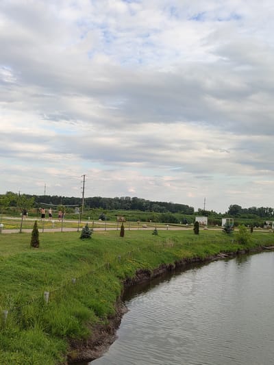 This media file depicts an outdoor scene at what appears to be a recreational area with a body of water. The foreground features the bank of a calm river or pond with rippling water reflecting the overcast sky. The riverbank is covered in lush green grass, interspersed with small yellow wildflowers and some taller reeds and grasses closer to the water's edge.
Further back, a well-maintained grassy area with manicured trees and bushes extends towards a pathway. On this pathway, several people are visible engaged in a game of volleyball. Two individuals are playing on one side of the net, and at least three others are on the opposite side. The individuals are wearing casual attire.
In the background, a line of trees forms a dense green border. Several power lines and poles are also visible, indicating the proximity of infrastructure. The sky is filled with a mix of white and gray clouds, suggesting an overcast or partly cloudy day, likely late afternoon or early evening given the soft lighting. There is no visible text in the image. The overall atmosphere is one of leisure and recreation in a natural, yet developed, park-like setting. The location is identified as Shcherbani, Ukraine.