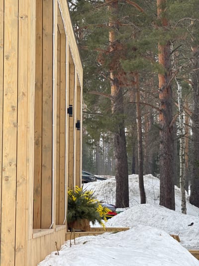The image displays a winter scene in Mishkino, Russia, featuring a modern structure adjacent to a dense forest. In the left foreground, the exterior wall of a building is visible, constructed from vertical light-toned wooden planks with white trim elements. Two black, rectangular light fixtures are mounted on this wooden wall. Below, a wooden deck or porch is partially covered in snow. A plant arrangement in a burlap-wrapped pot rests on the deck, containing green foliage and clusters of yellow flowers.

The ground beyond the structure's immediate vicinity is covered by uneven mounds of snow. Several thin, bare branches protrude from the snow cover. In the midground and background, a dense forest predominates, composed primarily of tall pine trees with dark, textured bark and green needles. A birch tree with white bark is visible on the right side of the frame within the forest. A dark-colored vehicle, consistent with an SUV, is partially visible behind a snow mound and trees in the midground. Adjacent to the vehicle, brightly colored objects, including red, yellow, and blue components, are partially discernible, consistent with stacked recreational equipment such as kayaks. No human figures or discernible actions are present in the frame.