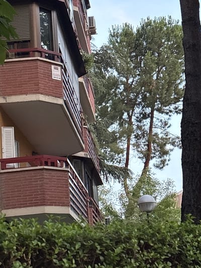 The image shows a close-up view of a multi-story building with red brick facade and balconies. An air conditioning unit is visible on the side of the building. Mature pine trees and a dark tree trunk frame the right side of the image. A street lamp with a spherical shade is located in the foreground, partially obscured by dense green foliage. A security alarm sticker with text in Spanish is affixed to the corner of one of the balconies. The sky is overcast with a light blue hue. The scene appears to be an exterior view of residential apartments.