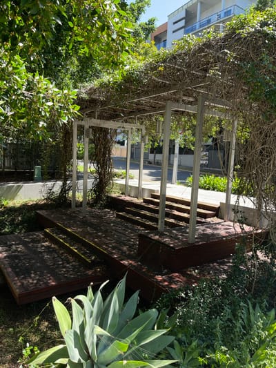This image captures a vibrant outdoor garden or public space in Kelvin Grove, Australia, under bright daylight. The photo, though presented sideways, depicts a lush environment with architectural elements.
In the midground, a light-colored pergola, possibly made of metal or painted wood, is heavily draped with green vines and some bare, twisted branches, forming a leafy canopy. Multiple square posts support the structure, creating a semi-shaded pathway. To the right of the pergola, a multi-tiered wooden deck or seating area is visible, constructed from dark-stained horizontal planks. Strong sunlight casts distinct shadows across its surface.
Abundant green foliage surrounds the scene. In the foreground on the right, a large, light-green agave or similar succulent plant with broad, fleshy leaves is prominent, with delicate spiderwebs visible on its surface. Other leafy trees and shrubs with vibrant green leaves occupy the left foreground and are scattered around the base of the pergola, enhancing the natural, overgrown aesthetic.
In the background, on the upper left, a modern, multi-story apartment building with a light-colored facade and balconies stands against a clear blue sky. Across what appears to be a paved street or pathway, visible through the pergola posts in the upper right, another building with a darker facade can be seen.
The scene is devoid of people or visible text. The bright, clear light and sharp shadows indicate a sunny day, likely mid-morning or afternoon. The overall impression is one of a serene, green sanctuary integrated into an urban setting.