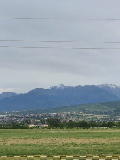 This is a landscape photograph taken in Dolan, Kazakhstan. The image depicts a vast expanse of green fields in the foreground, with a line of trees separating them from a town nestled on a hillside in the midground. Beyond the town, majestic mountains rise, their peaks dusted with snow, creating a dramatic backdrop. The sky is overcast, suggesting a cloudy or possibly a light rain day. Four thin, dark power lines are visible horizontally across the upper portion of the frame, indicating the presence of infrastructure in the area. The overall scene conveys a sense of natural beauty and rural life, with the mountains serving as a prominent and awe-inspiring element. There is no text visible in the image.