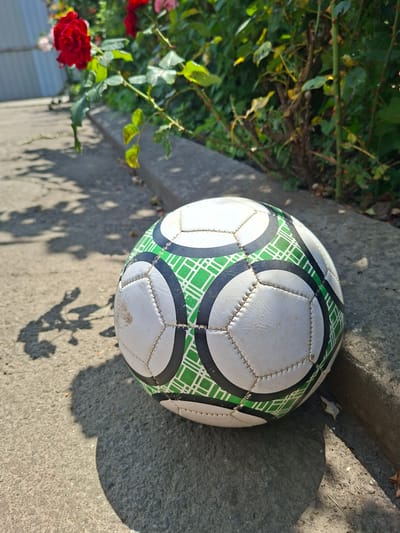 A white soccer ball with green and black geometric patterns rests on a concrete curb. The ball is positioned in the foreground, slightly to the right of center. In the background, a rose bush with red roses and green leaves is visible. The scene appears to be outdoors, with shadows cast on the concrete surface, suggesting a sunny day. The location is the city of Gorkovskiy, Russia. There are no people or animals present in the image.