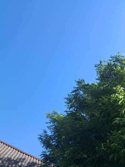 The image shows a bright blue sky with a section of a grey, corrugated roof in the lower left corner. To the right, a dense cluster of green foliage from a tree fills the upper right portion of the frame. The scene appears to be outdoors on a clear day, likely in Chobruchi, Moldova, given the context. There are no people or animals visible in the image. The lighting suggests it is daytime.