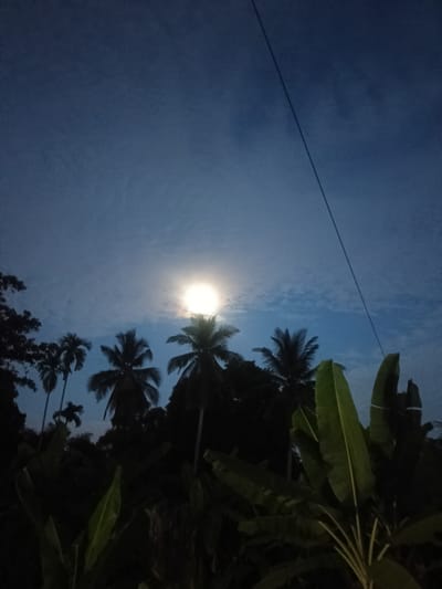 The image depicts a night scene in Sumbokrayek, Indonesia. The sky is a gradient of dark to light blue, with a bright, round light source (likely the moon) shining through thin, scattered clouds. Silhouetted against the sky are several palm trees, including coconut palms, and banana plants in the foreground. A thin electrical wire stretches diagonally across the upper-right portion of the frame. The environment is generally dark, and there are no visible people or overt actions taking place.