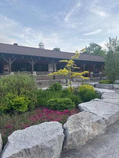 The image captures a well-landscaped outdoor scene in Chelsea, Canada, featuring a rustic-style building and a prominent rock garden under a bright, partly cloudy sky.

The main subject is a large, two-story building with a brown shingled roof and dark wooden beam supports, suggesting a lodge or similar commercial establishment. Several ventilation units are visible on the roof. The building has a covered facade with multiple windows, and a rope railing system with dark posts guides towards an entrance.

In the foreground and midground, extensive landscaping is visible. Large, light grey boulders are strategically placed, forming a natural-looking rock garden or decorative wall. Surrounding these rocks and throughout the planted areas are various green plants, including dense bushes, tall grasses, and smaller leafy shrubs. Patches of vibrant pink and purple flowering plants add splashes of color. A small tree with distinctive bright yellow-green foliage stands out in the center of the planted area.

The sky is a clear light blue with scattered, wispy white clouds, indicating a bright daytime setting. There is no human activity depicted, presenting a tranquil and well-maintained environment.

Visible text includes a blue directional sign near the building's entrance, which reads "Village" followed by an obscured word (possibly "Square" or "Shop") and an arrow pointing to the right. Another sign to the left of the entrance displays a QR code and the text "10 Outaouais".